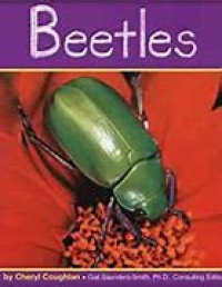beetles