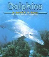 dolphins