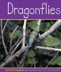 dragonflies