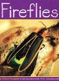 fireflies