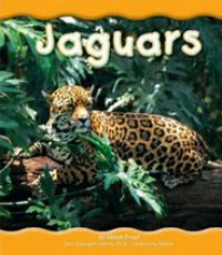jaguars