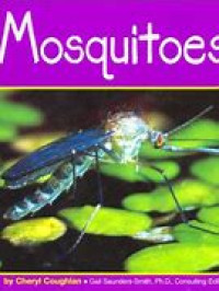 mosquitoes