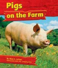 pigs on the farm
