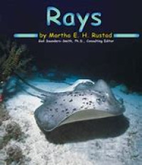 rays