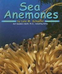 sea anemones