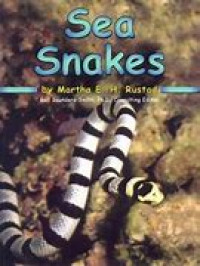 sea snakes