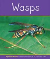 wasps