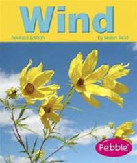 wind